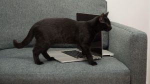 Cum poți crește durata de viață a laptopului tău